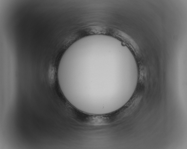 X0000101990121200808011109