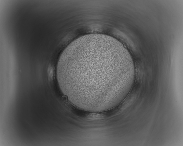 X0000101990123200808011109