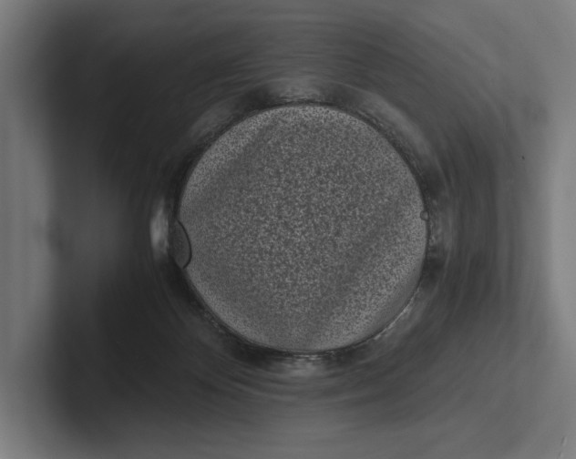 X0000101990124200808011109