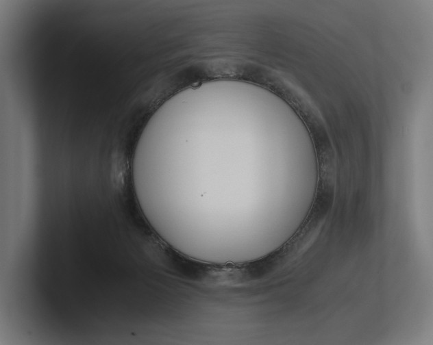 X0000101990125200808011109