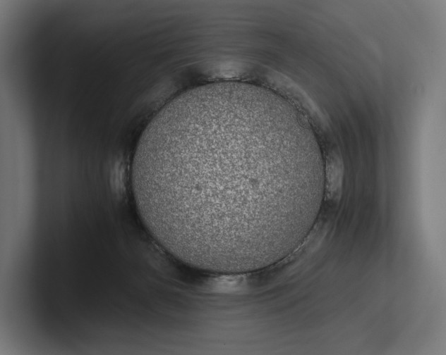 X0000101990126200808011109