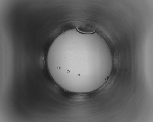 X0000101990128200808011109