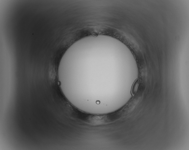 X0000101990129200808011109