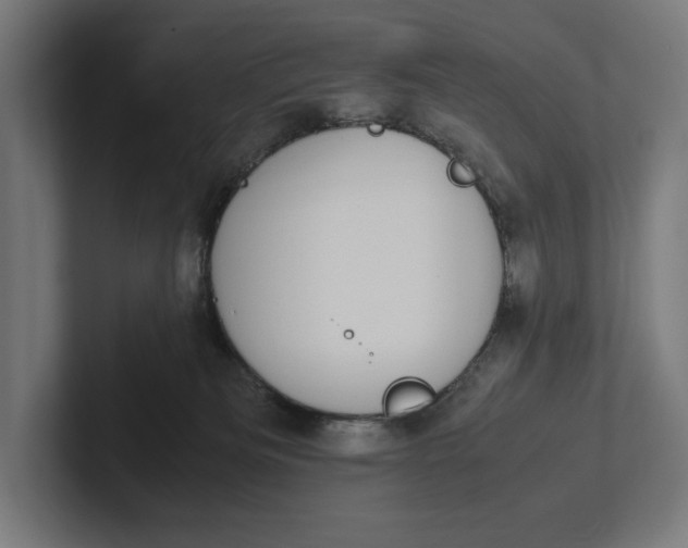 X0000101990133200808011109