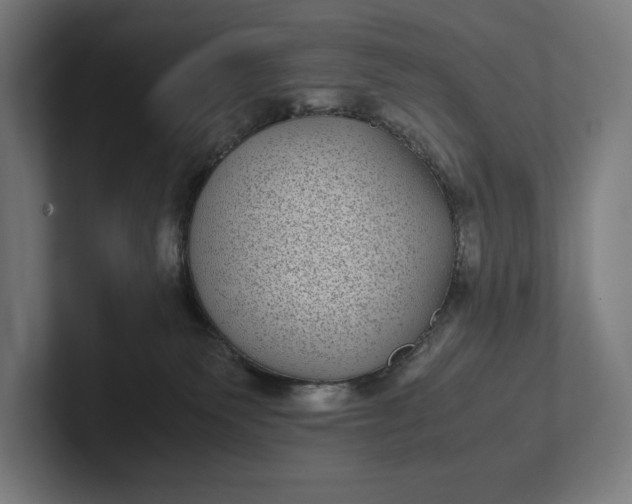 X0000101990135200808011109