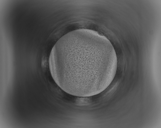 X0000101990137200808011109