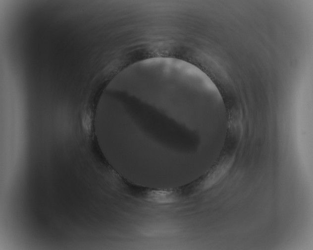 X0000101990139200808011109