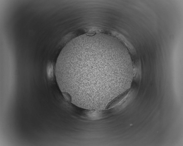 X0000101990142200808011109