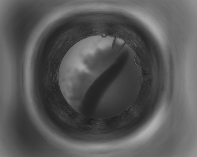 X0000101990143200808011109