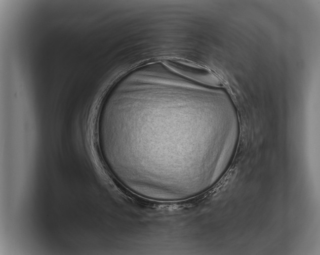 X0000101990145200808011108