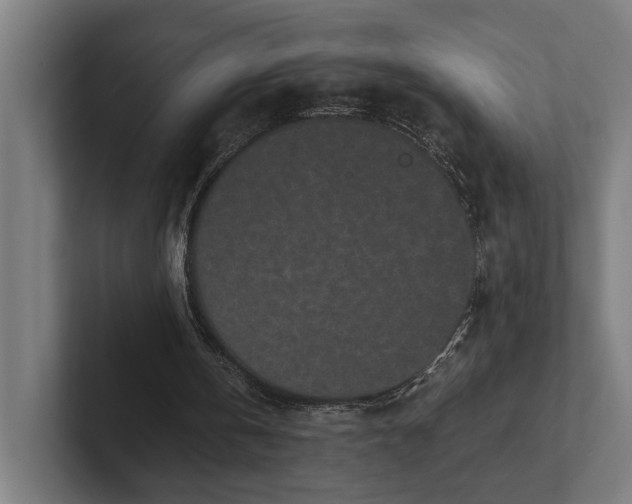 X0000101990146200808011108