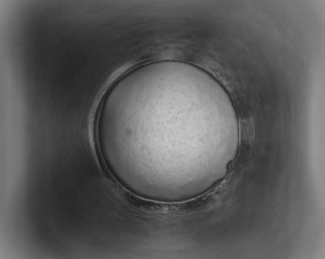 X0000101990147200808011108