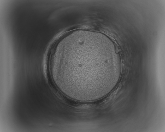 X0000101990149200808011108