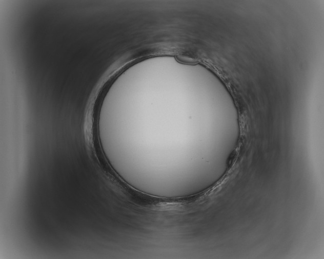 X0000101990150200808011108