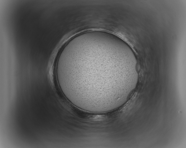 X0000101990151200808011108