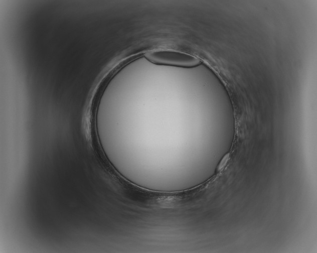 X0000101990152200808011108