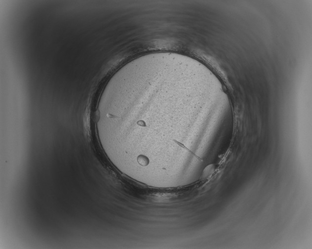 X0000101990154200808011108