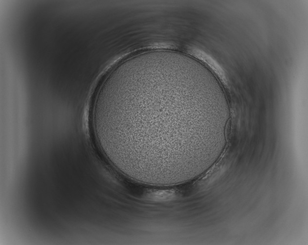 X0000101990155200808011108