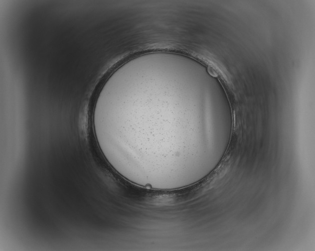 X0000101990156200808011108