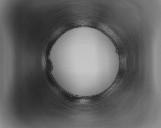 X0000101990158200808011108