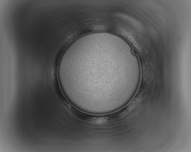 X0000101990161200808011108