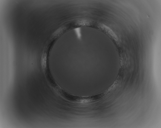 X0000101990163200808011108