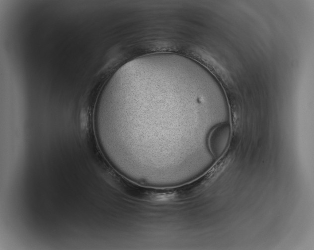 X0000101990165200808011108