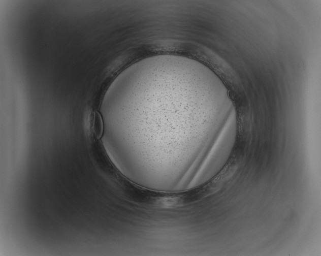 X0000101990168200808011108