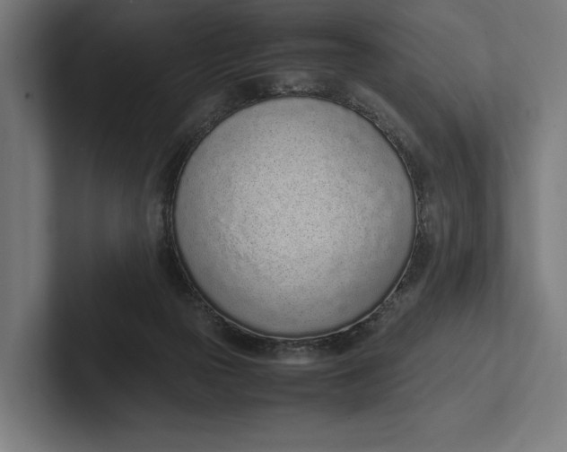 X0000101990169200808011108