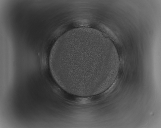 X0000101990170200808011108