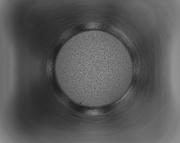 X0000101990171200808011108