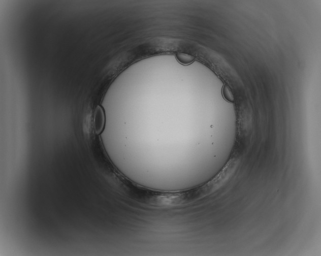 X0000101990172200808011108