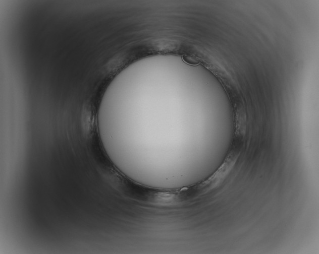 X0000101990176200808011108