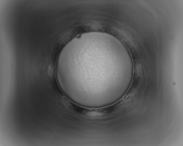 X0000101990177200808011108