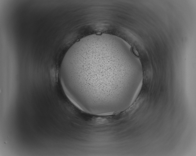 X0000101990180200808011108