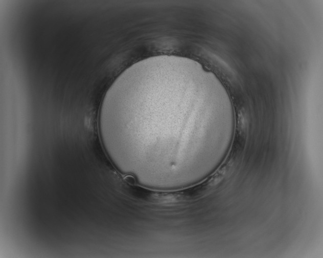 X0000101990181200808011108