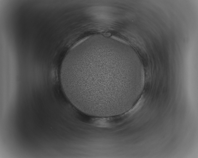 X0000101990182200808011108