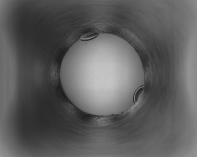 X0000101990186200808011108