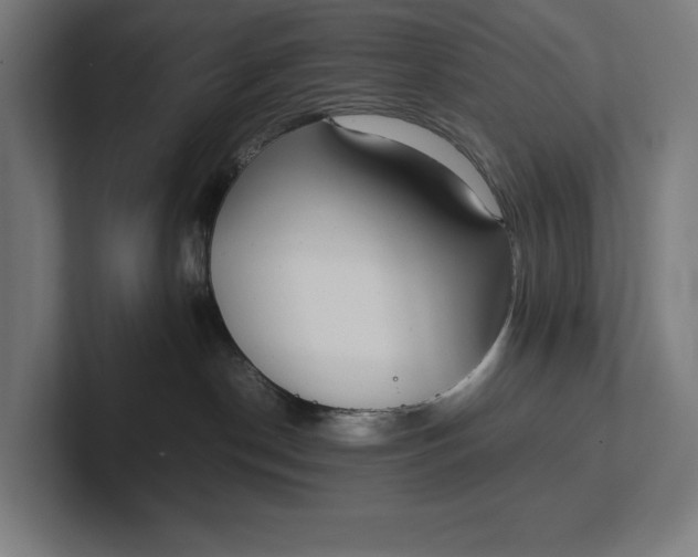 X0000101990190200808011108