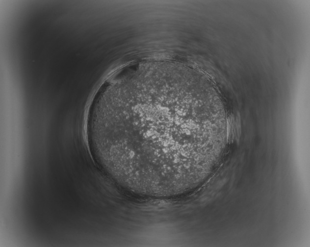 X0000101990195200808011108