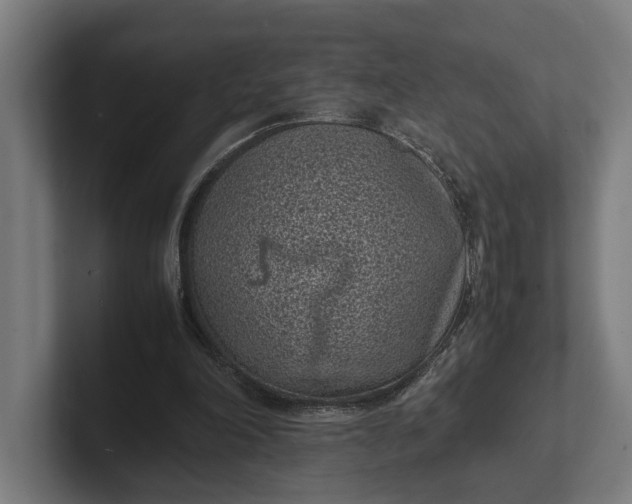 X0000101990198200808011108