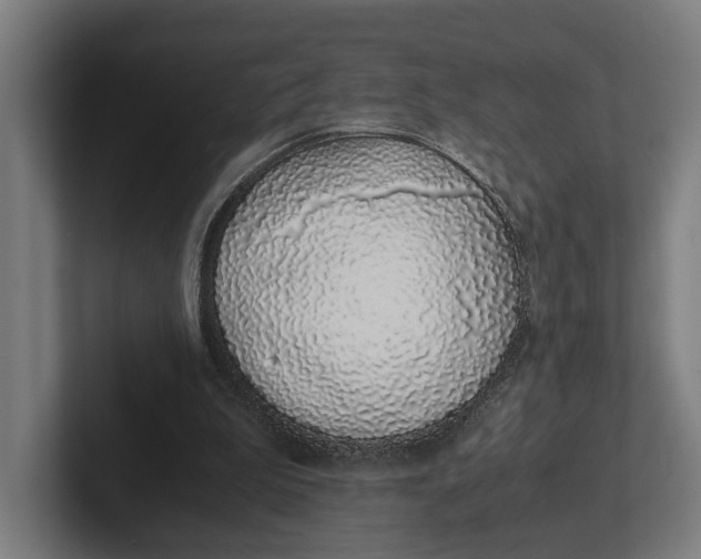 X0000101990199200808011108