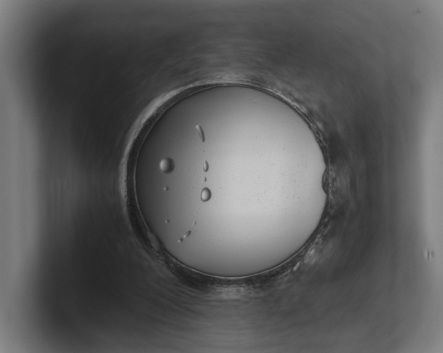 X0000101990200200808011108