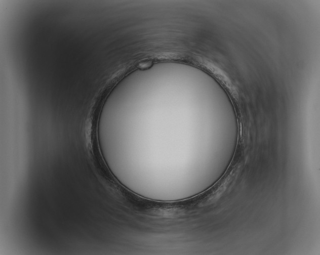 X0000101990201200808011108