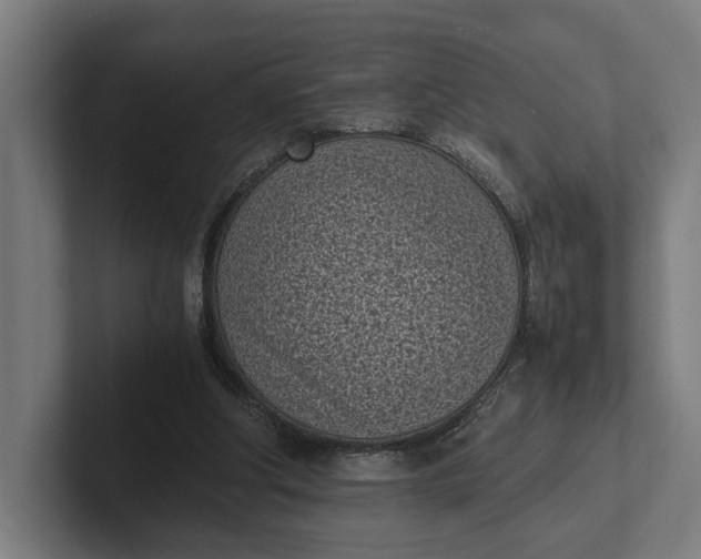 X0000101990202200808011108