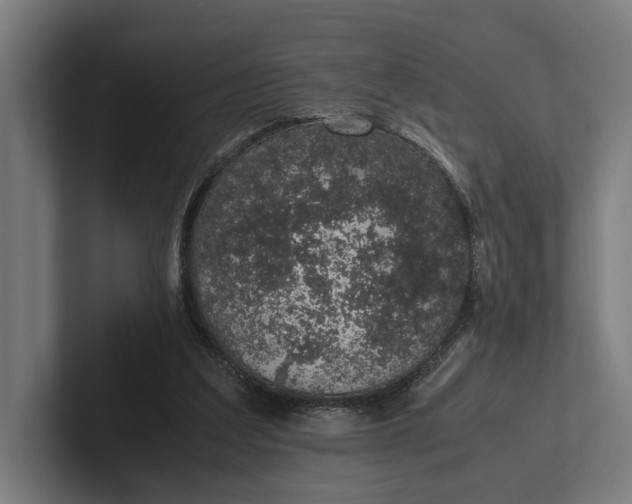 X0000101990203200808011108