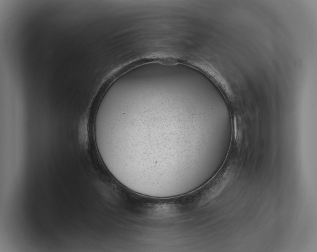 X0000101990204200808011108