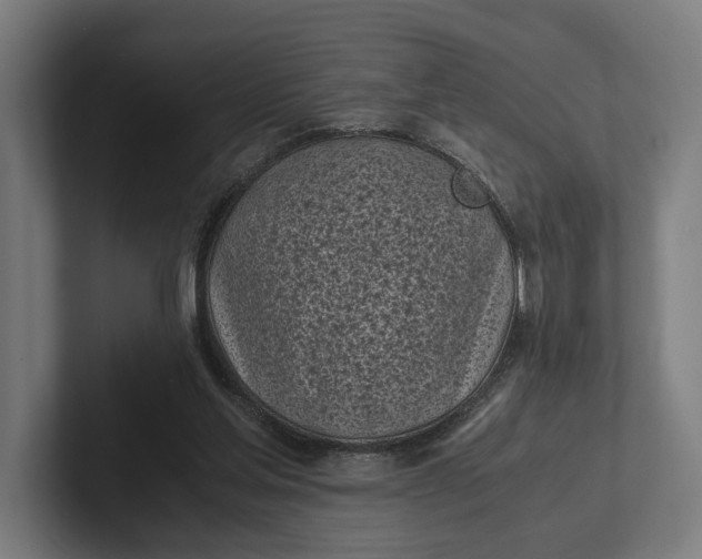 X0000101990205200808011108