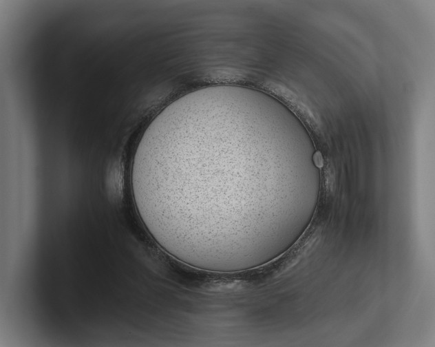 X0000101990206200808011108