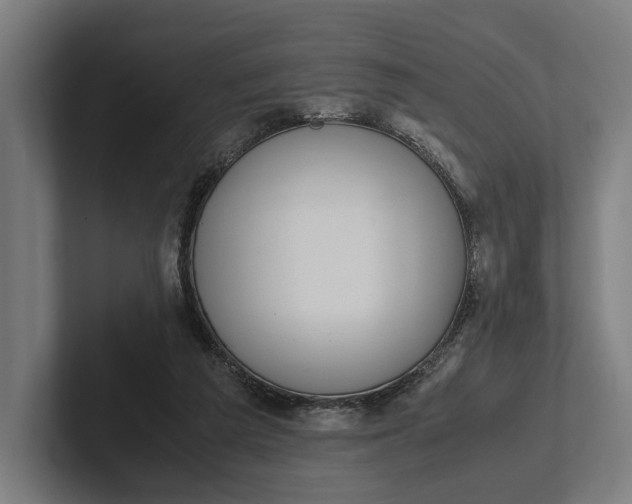 X0000101990209200808011108